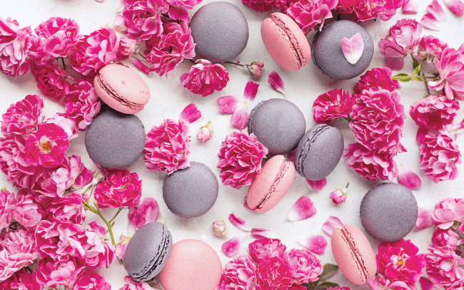 Обои картинки фото еда, макаруны, пирожное, цветы, розы