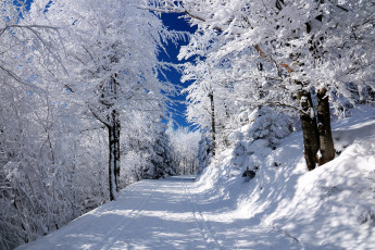 Картинка природа зима снег сугробы