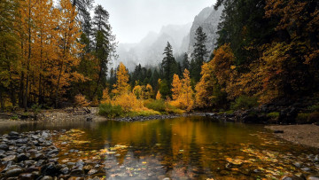 Картинка природа реки озера река осень камни