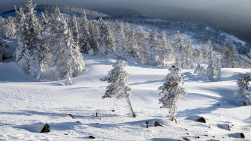 Картинка природа зима снег сугробы