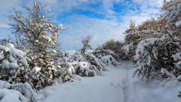 Картинка природа зима снег сугробы