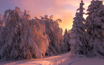 Картинка природа зима снег сугробы