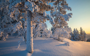 Картинка природа зима снег сугробы