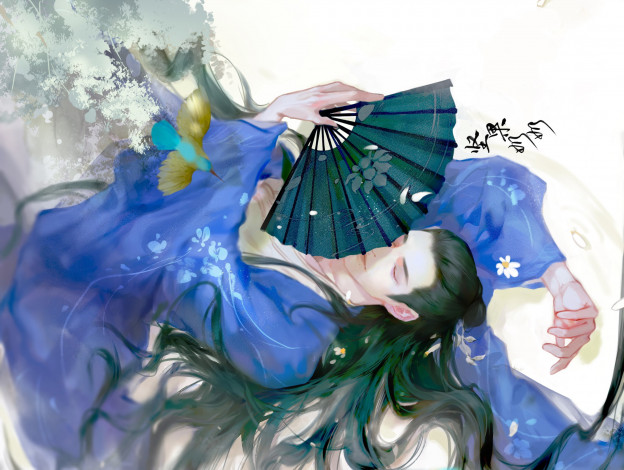 Обои картинки фото рисованное, кино,  мультфильмы, парень, веер, лепестки, птица