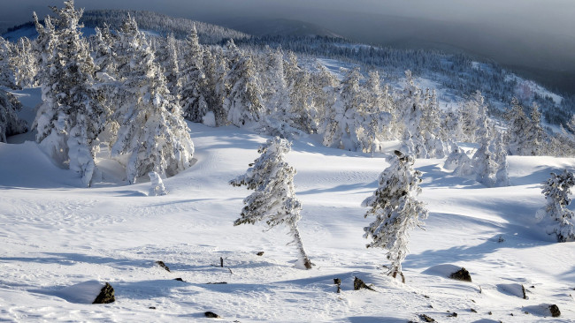 Обои картинки фото природа, зима, снег, сугробы