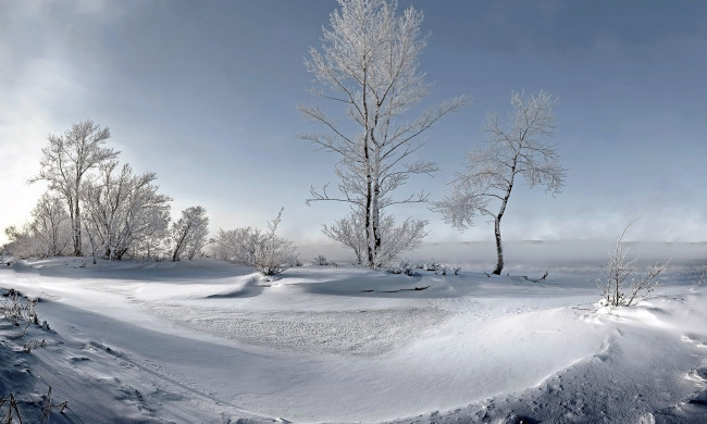 Обои картинки фото природа, зима, снег, сугробы