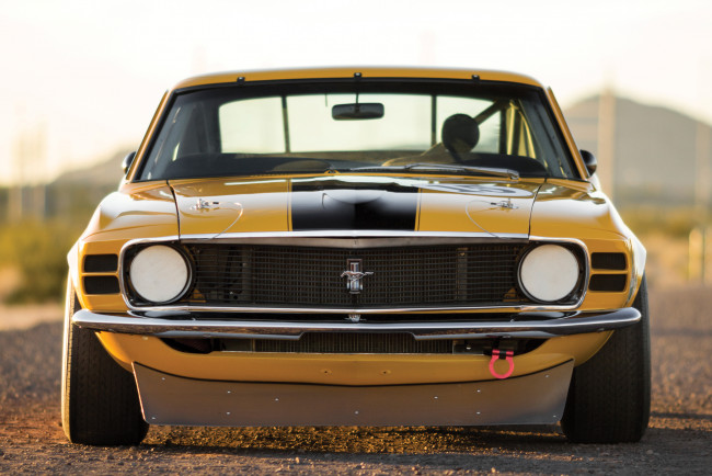 Обои картинки фото автомобили, mustang