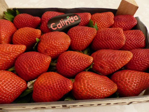 Обои картинки фото еда, клубника,  земляника, круная, спелая, ягоды