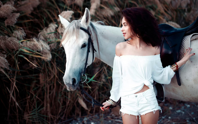 Обои картинки фото девушки, - брюнетки,  шатенки, брюнетка, топ, шорты, лошадь