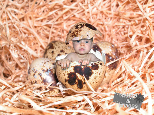 Картинка юмор приколы