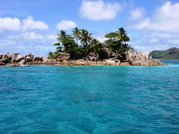 Обои картинки фото 