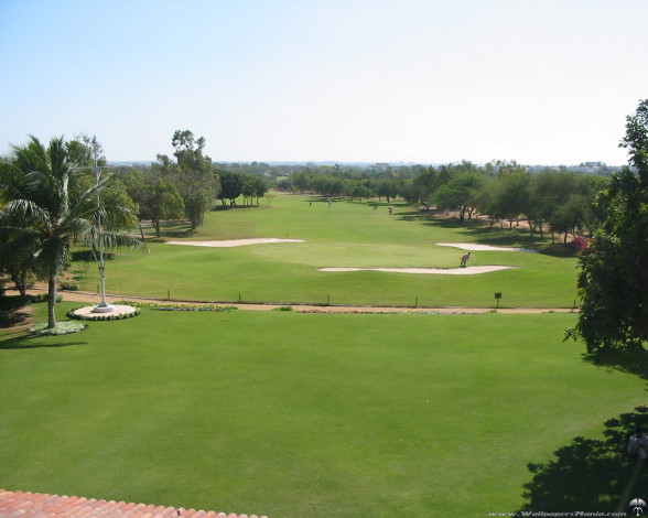 Обои картинки фото спорт, гольф