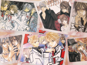 Картинка аниме vampire knight