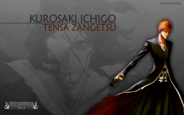 Картинка аниме bleach kurosaki ichigo zangetsu