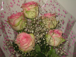 Картинка цветы розы