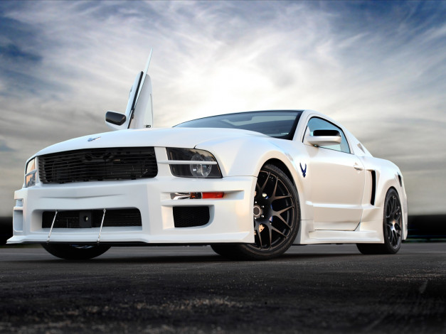 Обои картинки фото mustang, автомобили