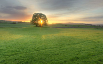 Картинка природа луга