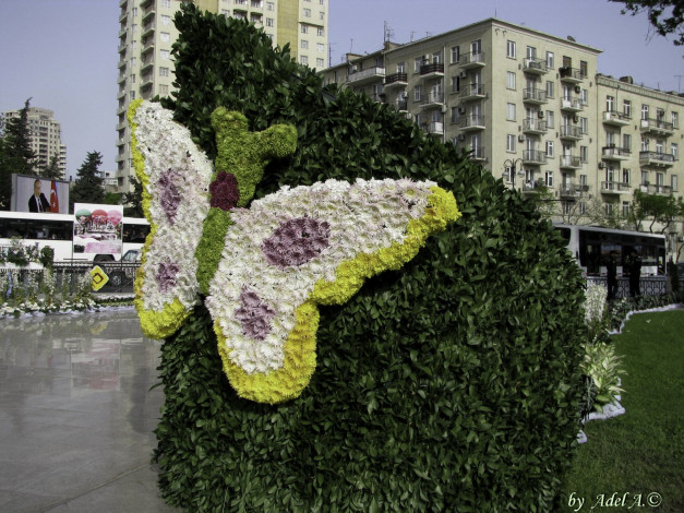 Обои картинки фото баку, разное, рельефы, статуи, музейные, экспонаты