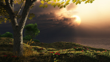 Картинка 3д графика nature landscape природа море закат дерево