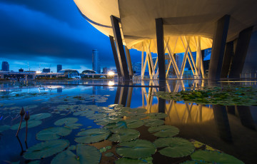 Картинка города сингапур парк