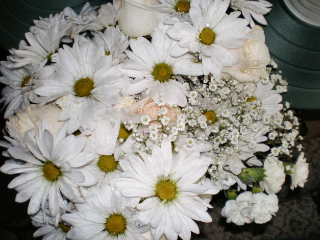 Обои картинки фото цветы, букеты, композиции, букет, ромашки, розы