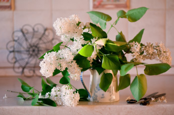 Картинка цветы сирень букет