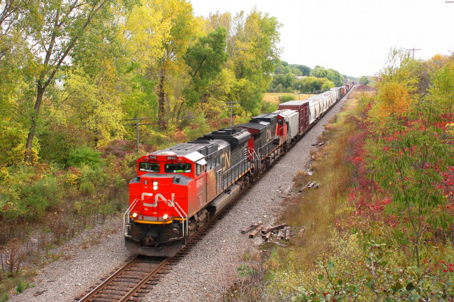 Обои картинки фото техника, поезда, железная, состав, локомотив, рельсы, дорога