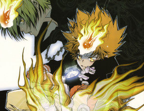 Картинка аниме katekyo+hitman+reborn парень