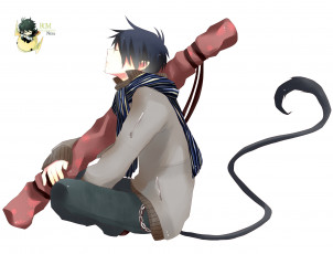 Картинка аниме ao+no+exorcist рин окумура