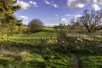 Картинка природа дороги лес река