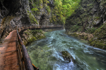 Картинка природа реки озера лес река