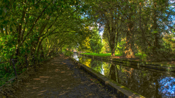 Картинка природа реки озера река лес