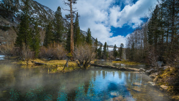 Картинка природа реки озера река лес