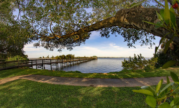 Картинка природа реки озера лес река