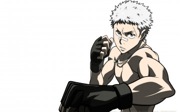 Картинка аниме katekyo+hitman+reborn парень