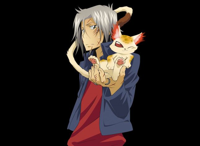 Обои картинки фото аниме, katekyo hitman reborn, хаято