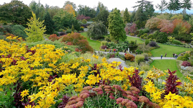 Обои картинки фото природа, парк, цветы, деревья, дорожки