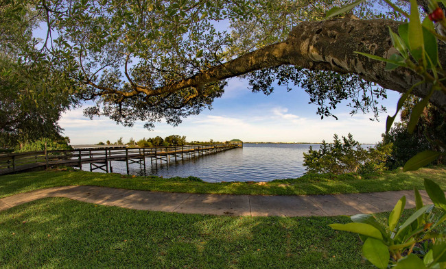 Обои картинки фото природа, реки, озера, лес, река