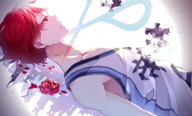 Обои картинки фото аниме, kuroko no baske, акаши, сейджуро