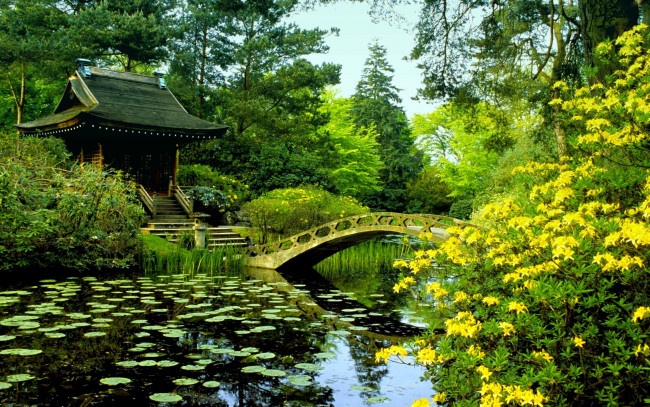 Обои картинки фото природа, парк, водоем, мостик