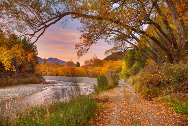 Обои картинки фото природа, реки, озера, лес, река