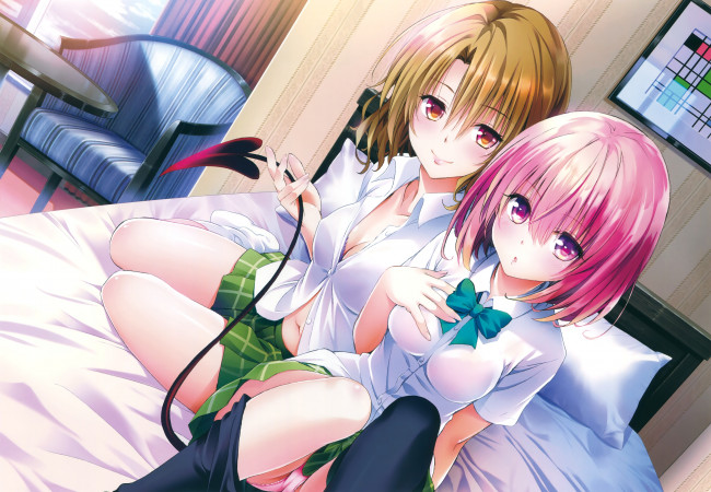 Обои картинки фото аниме, to love ru, девушки