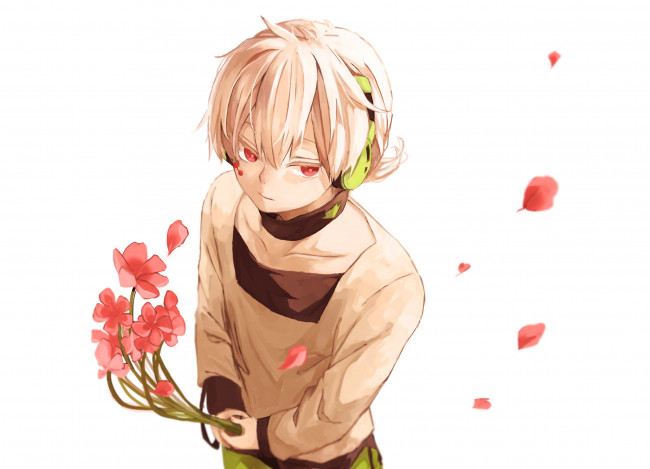 Обои картинки фото аниме, kagerou project, konoha