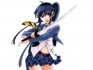 Картинка аниме оружие +техника +технологии галстук катана длинные волосы мини-юбка deathtopia art школьница белый фон kisaragi yui yoshinobu yamada