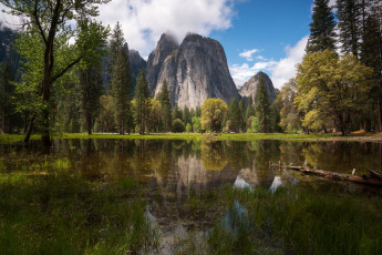 Картинка природа реки озера река лес