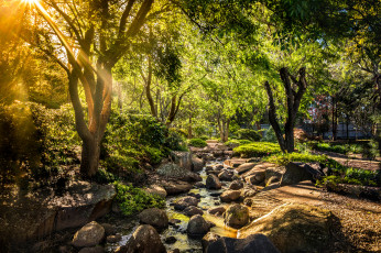 Картинка природа парк ручей