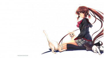 Картинка аниме животные +существа три котенка на коленях длинные волосы гольфы сидит школьница рыжая белый фон