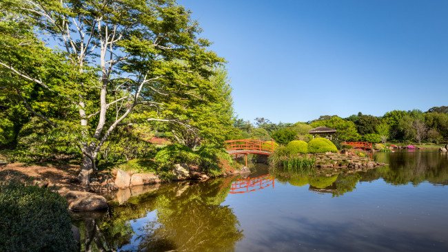 Обои картинки фото природа, парк, пруд