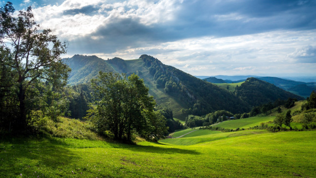 Обои картинки фото природа, пейзажи, холмы, трава, деревья