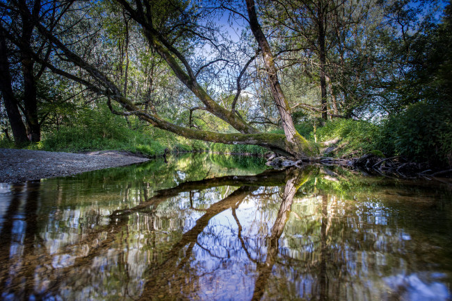 Обои картинки фото природа, реки, озера, лес, река